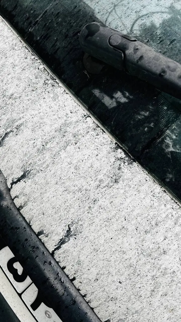 photo_5866439548814953670_y