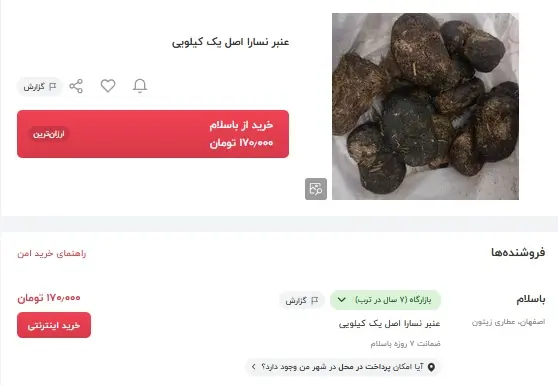عنبرنسا