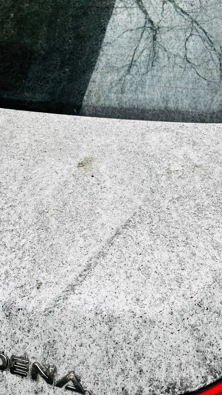 photo_5866439548814953671_y