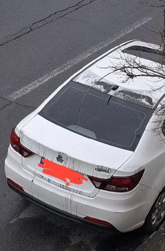 photo_5866439548814953668_x