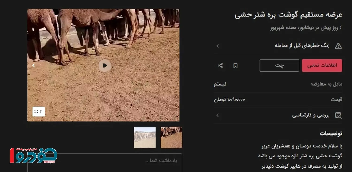 شتر