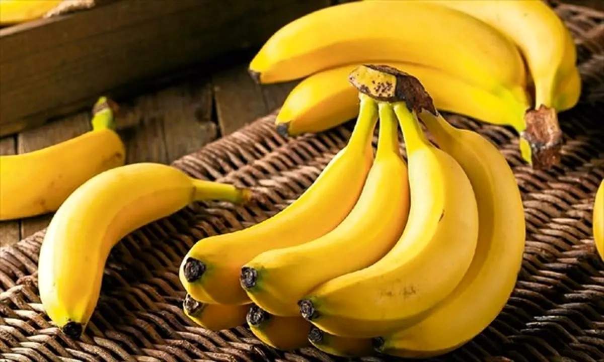 برنامه ۱۰ ساله ایران برای موز