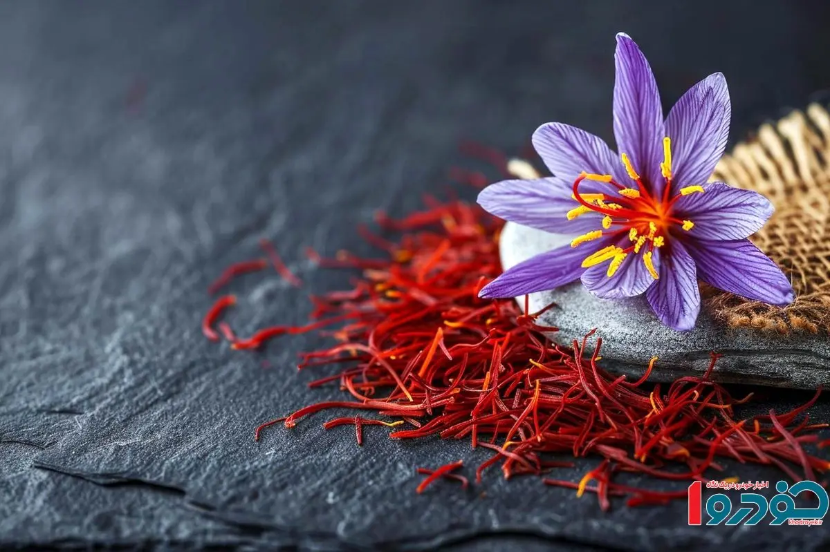 تولید طلای سرخ به نقاط بیشتری از ایران رسید