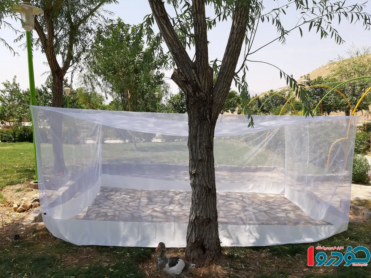 پشه بند کالای ارزشمند شد 