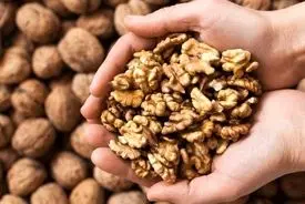 محصول باکیفیت ایران وارد بازار ۹ کشور شد