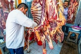 سردرگمی عجیب دامداران / شرط تولید داخل گوشت مشخص شد