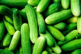 انفجار قیمت خیار در بحران کم آبی!