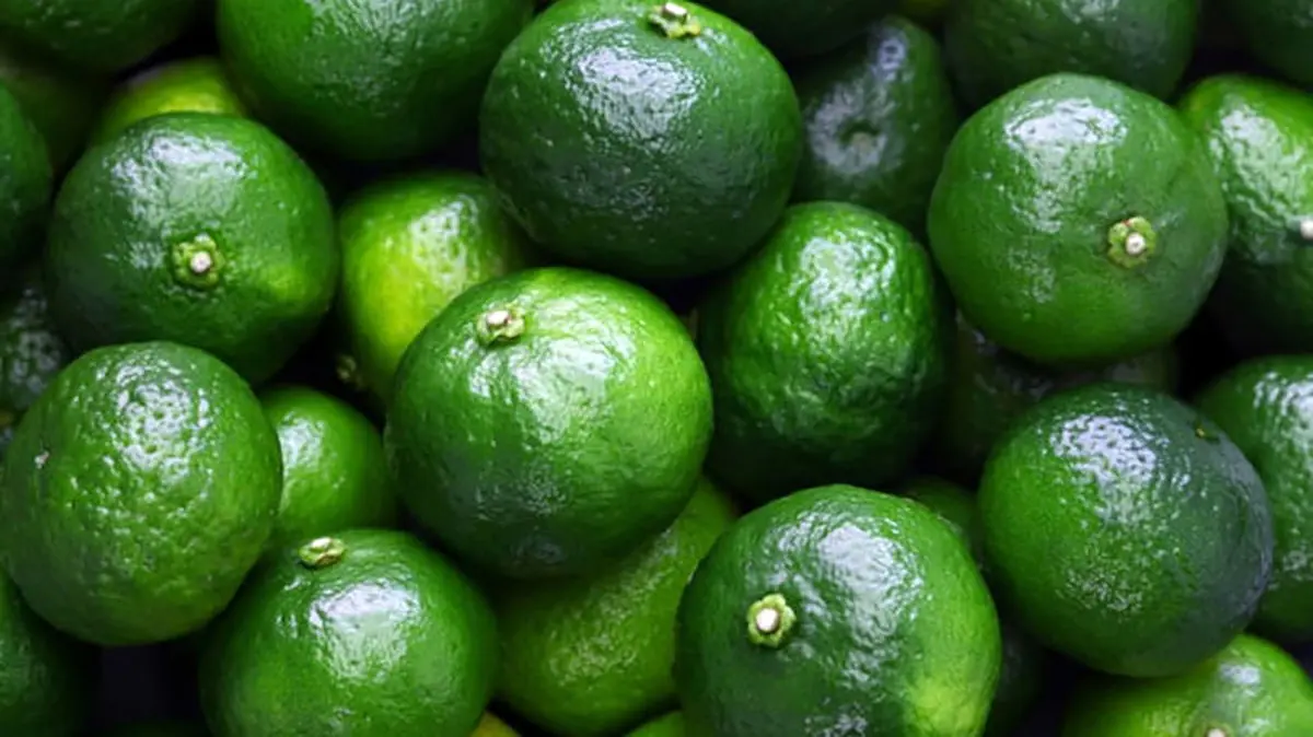 قیمت جدید نارنگی در بازار – ۴ مهر ۱۴۰۴