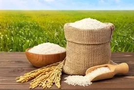 قیمت برنج دولتی مردم را شوکه کرد! 