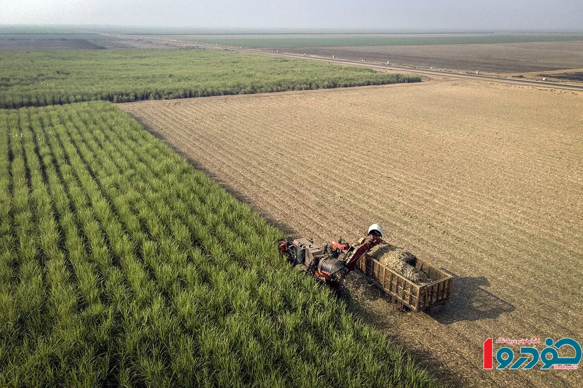 افزایش صادرات این محصولات به داد اقتصاد ایران رسید