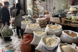برنامه جدید برای بازار برنج / جلوی واردات گرفته می‌شود؟