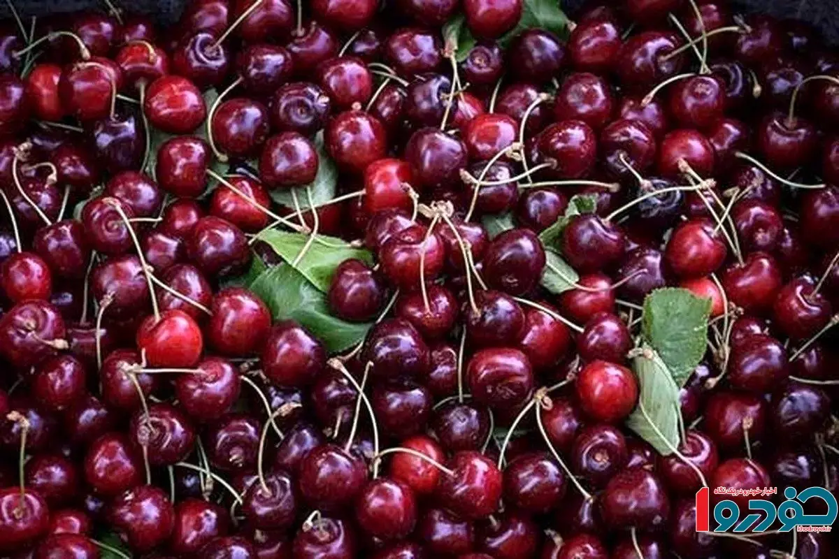 قیمت عجیب گیلاس / فروش به صورت ۲۵۰ گرمی!