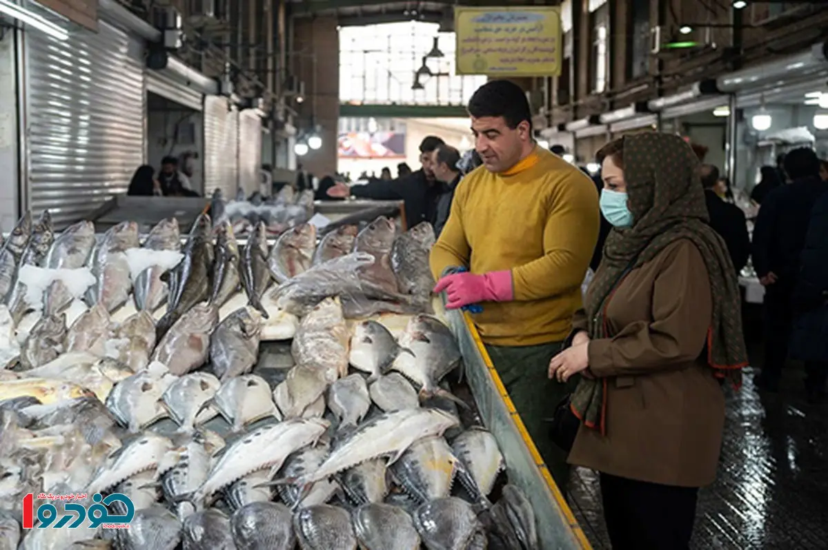 ماهی ایرانی در راه عراق / بازار جدید پیدا کردیم
