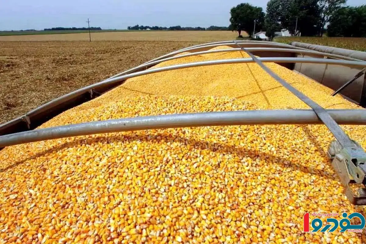 ایران این محصول مهم را از ۱۵ کشور وارد می‌کند 