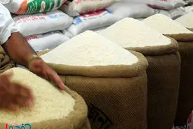 برنج با قیمت جدید به بازار امروز رسید - ۱۸ مرداد ۱۴۰۴