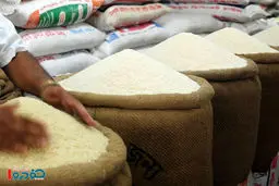 خبر خوش از قیمت برنج در سال آینده
