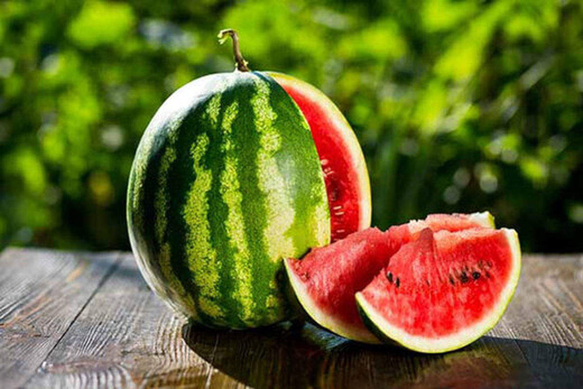 قیمت جدید هندوانه ایرانی بعد از جنجال در روسیه
