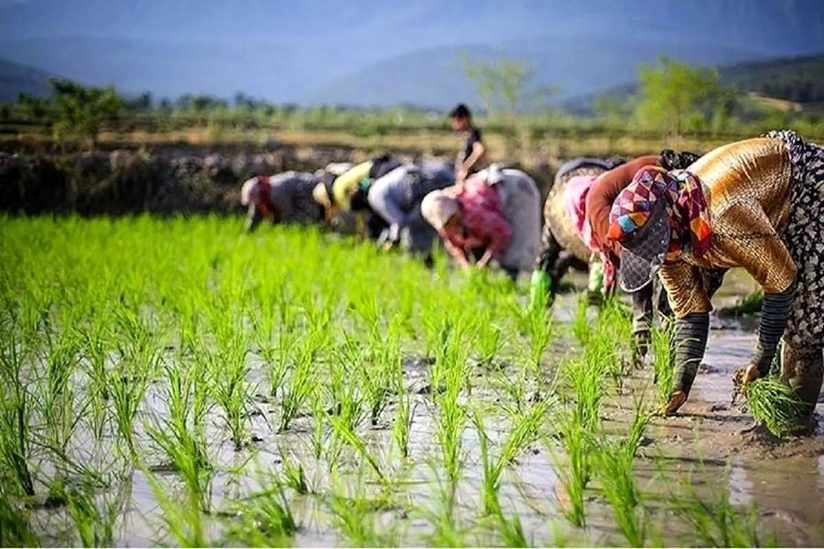 اعلام یک ممنوعیت جدید در خوزستان - ۴ تیر ۱۴۰۴