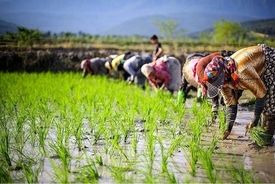اعلام یک ممنوعیت جدید در خوزستان - ۴ تیر ۱۴۰۴