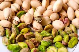 قیمت پسته تازه به نیم میلیون تومان نزدیک شد!