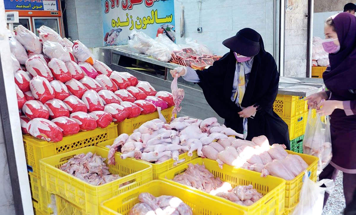 مرغ با قیمت جدید در راه بازار - ۲۳ اردیبهشت ۱۴۰۴