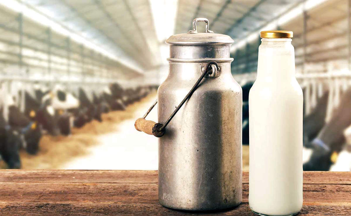 قیمت جدید شیر رسما اعلام شد – ۲۷ اردیبهشت ۱۴۰۴