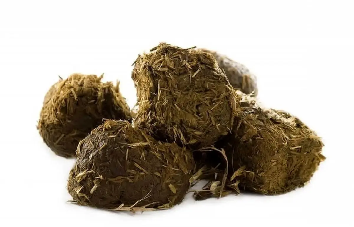 قیمت عنبرنسا هم نجومی شد - شهریور ۱۴۰۴