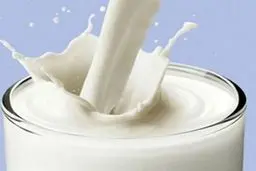 قیمت شیر نایلونی هم لاکچری شد 