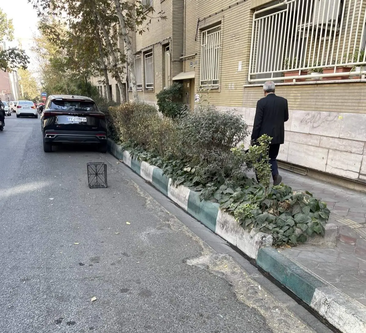 رونمایی از یک شغل جدید در ایران / رزرو جای پارک با سبد!