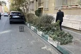 رونمایی از یک شغل جدید در ایران / رزرو جای پارک با سبد!